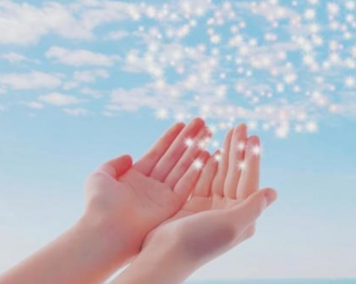 手のひら